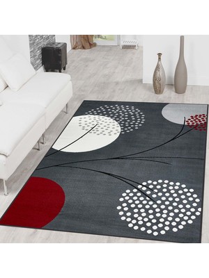 Rovigo Home Dijital Baskı Yıkanabilir Kaymaz Taban Salon Halısı