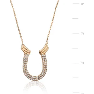 Gümüş Nal Bayan Kolye