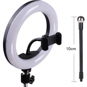 M20 Işıklı Telefon Tutucu Ring Light
