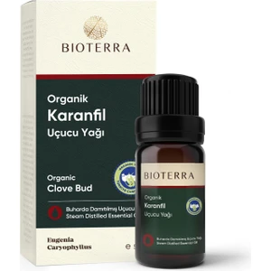 Organik Karanfil Uçucu Yağı 5 ml