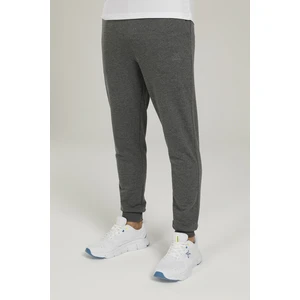 SN91 Basic Jogger 1pr Gri Erkek Eşofman