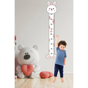 Echo Home Sevimli Pembe Kedi Figürlü Boy Ölçme Ölçüm Cetveli Duvar Sticker - Çocuk Odası