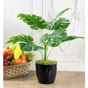 Yapay Çiçek Monstera 9 Dal Siyah Plastik Saksılı Deve Tabanı Dekoratif Süs Çiçeği