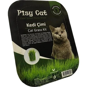 Pisy Cat Doğal Kedi Çimi