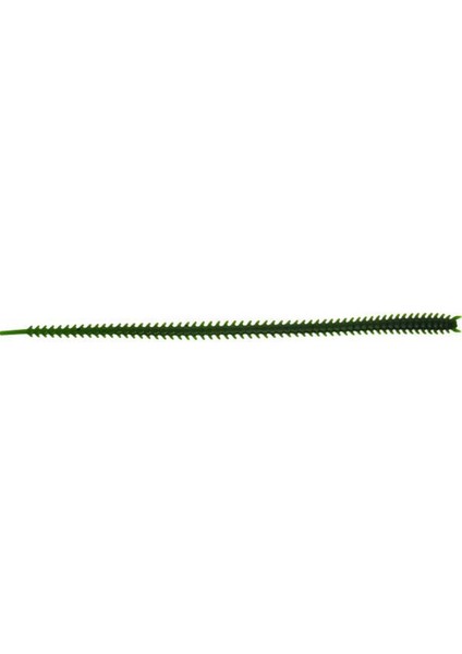 Japanese Ryoshi Green 120MM Silikon Sahte Yem