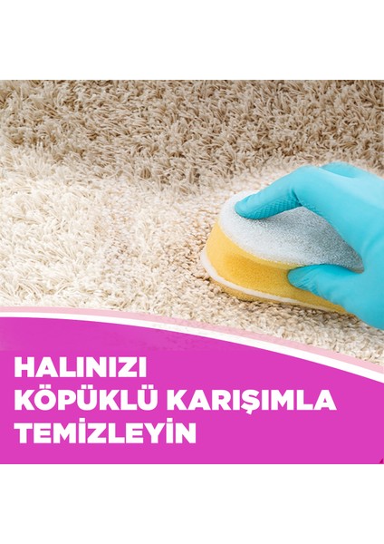 Kosla Zorlu Lekelere Özel Leke Çıkarıcı Halı Yıkama Şampuanı 850 ml