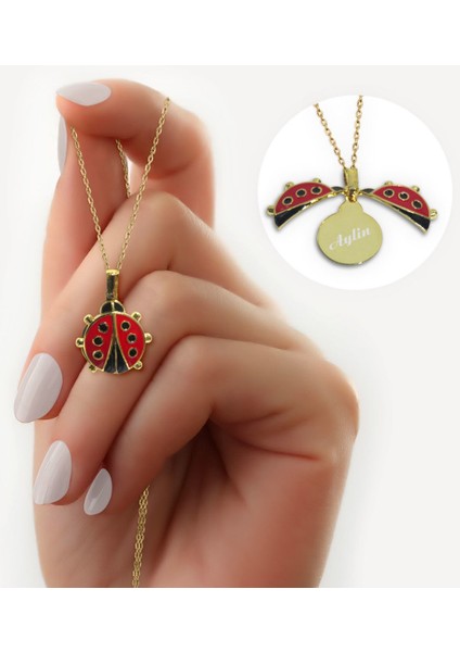 Kişiye Özel Uğurböceği Temalı Türk Kahvesi Fincanı ve Açılan Uğurböceği Kolye Hediye Seti-2 fiyatları