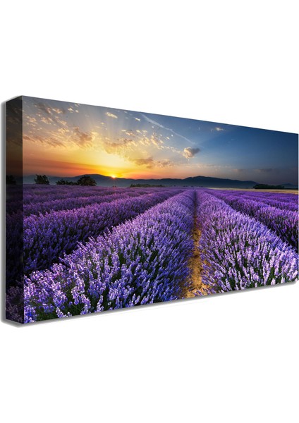 Bordosanat 80 x 40 cm Lavanta Tarlası Dekoratif Duvar Kanvas Tablo fiyatları