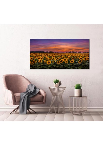 Bordosanat 80 x 40 cm Ayçiçeği Tarlası Dekoratif Duvar Kanvas Tablo