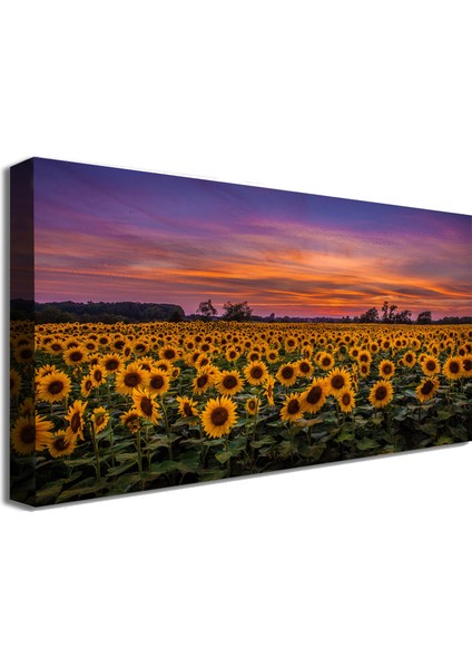 Bordosanat 80 x 40 cm Ayçiçeği Tarlası Dekoratif Duvar Kanvas Tablo fiyatları