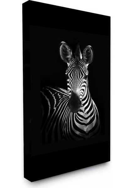 Bordosanat 70 x 140 cm Zebra Dekoratif Duvar Kanvas Tablo fiyatları