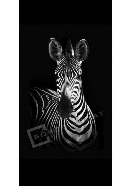 Bordosanat 70 x 140 cm Zebra Dekoratif Duvar Kanvas Tablo modelleri