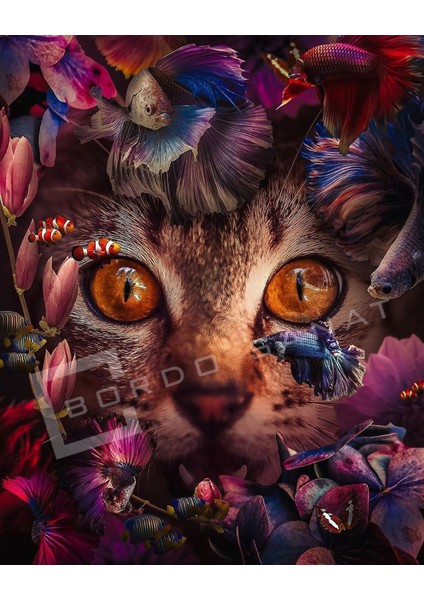 Bordosanat 70 x 85 cm Kedi Dekoratif Duvar Kanvas Tablo modelleri