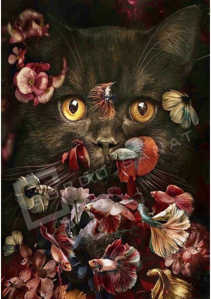 Bordosanat 80 x 115 cm Kedi Dekoratif Duvar Kanvas Tablo modelleri