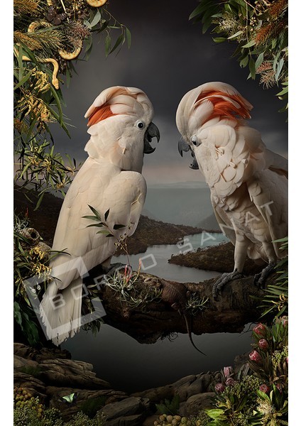 Bordosanat 70 x 105 cm Papağan Dekoratif Duvar Kanvas Tablo modelleri