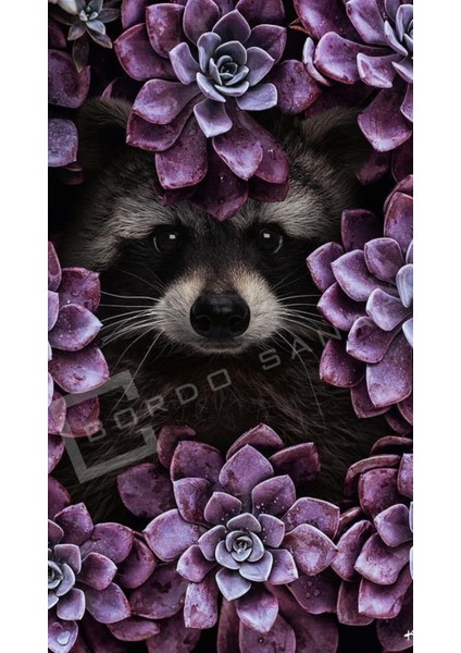 Bordosanat 70 x 125 cm Hayvan Dekoratif Duvar Kanvas Tablo modelleri