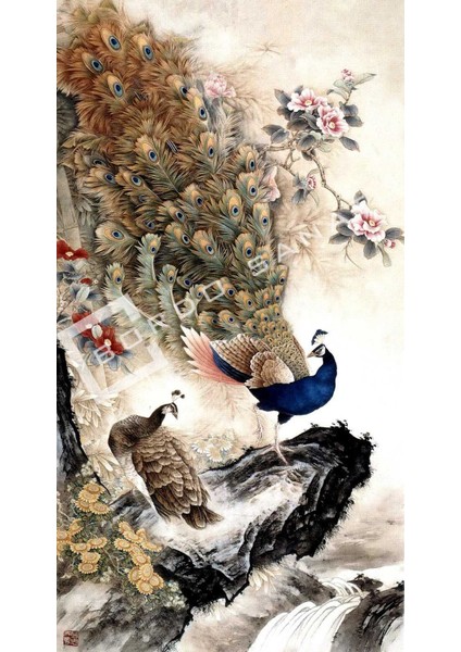 Bordosanat 80 x 150 cm Tavus Kuşu Dekoratif Duvar Kanvas Tablo modelleri