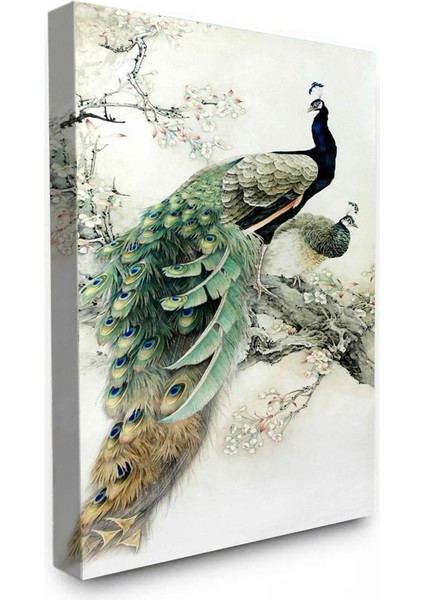 Bordosanat 60 x 120CM Tavus Kuşu Dekoratif Duvar Kanvas Tablo fiyatları