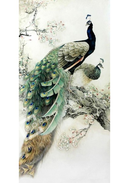 Bordosanat 60 x 120CM Tavus Kuşu Dekoratif Duvar Kanvas Tablo modelleri
