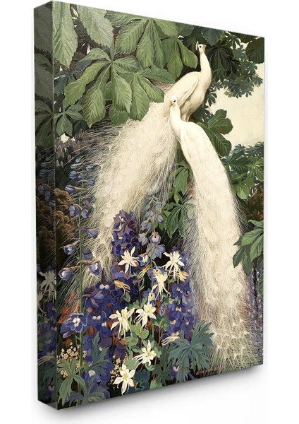 Bordosanat 50 X70 cm Tavus Kuşu Dekoratif Duvar Kanvas Tablo fiyatları