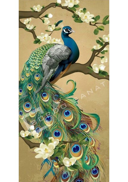 Bordosanat 50 x 100 cm Tavus Kuşu Dekoratif Duvar Kanvas Tablo modelleri