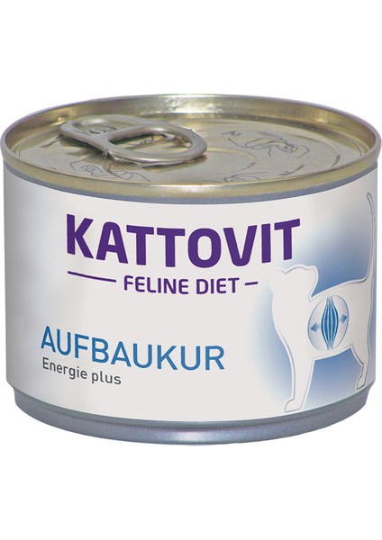 Kattovıt Kedi Recovery (Hıgh Performance) 185 G