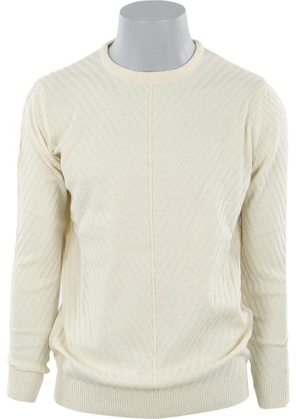 Ekru Slim Fit Bisiklet Yaka Desenli Erkek Triko