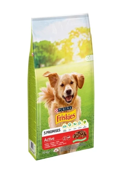 Active Etli Yetişkin Köpek Maması 10Kg