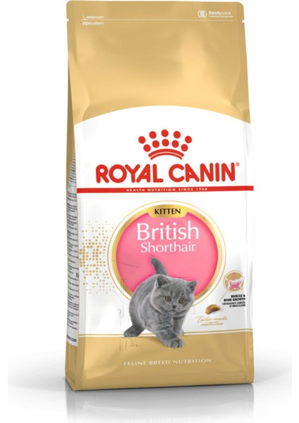 British Shorthair Kitten Yavru Kedi Maması 2 kg