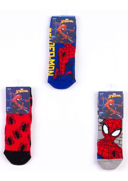 3 Çift Kaydırmaz Taban Havlu Çorap 19164 fiyatları