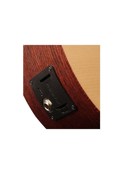 Elektro Akustik Gitar, Çantalı, Open Pore,
