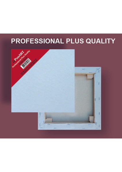 30X30CM Profesyonel Plus Tuval