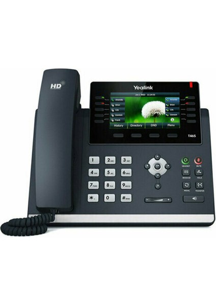 T46U Poe Destekli Ip Masa Telefonu
