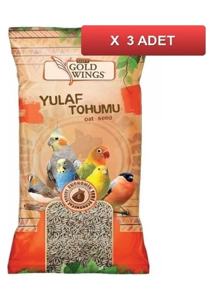 Yulaf Kuş Yemi 300 gr (3 Paket)