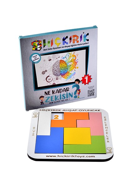 Ne Kadar Zekisin 1 modelleri