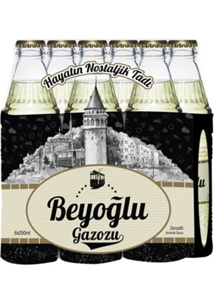 Beyoğlu Zencefilli Aromalı Gazoz 6 x 250 ml