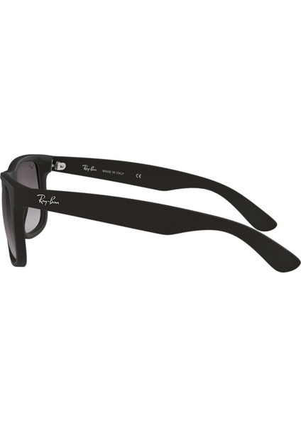 Rayban Ray-Ban RB4165 601/8G fiyatları