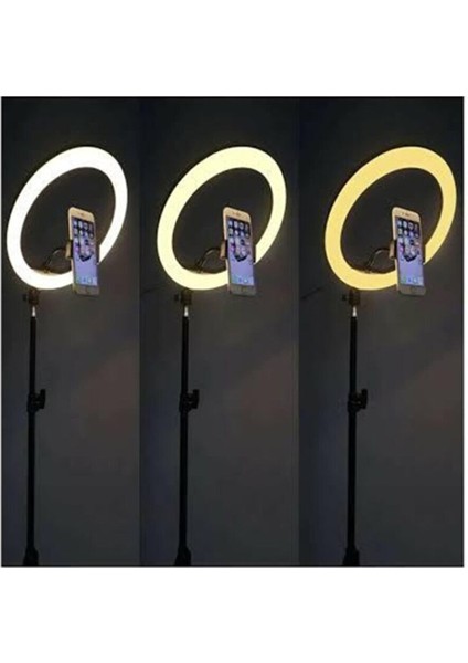 10" Halka LED 210 cm Tripodlu Youtuber Video Selfie Stüdyo Makyaj Tiktok Işığı Ring Light