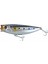 Japanese Salt 8cm 14GR Popper Rapala Maket Balık - HG2742 1