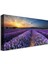 Bordosanat 80 x 40 cm Lavanta Tarlası Dekoratif Duvar Kanvas Tablo 2