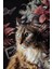 Bordosanat 70 x 105 cm Kedi Dekoratif Duvar Kanvas Tablo 3