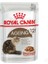 Ageing+12 Kedi Konservesi 85 gr 1