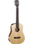 Elektro Akustik Gitar, Çantalı, Open Pore, 1