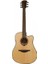 Lag Gla T88DCE / Tramontane Dreadnought Akustik Gitar 1