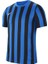 Dri-Fıt Stripe Division Iv Jsy Ss CW3813-463 Forma 1