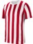 Dri-Fıt Stripe Division Iv Jsy Ss CW3813-104 Forma 1