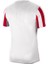 Dri-Fıt Stripe Division Iv Jsy Ss CW3813-104 Forma 2