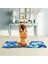 Yoga Mat (Yurt Dışından) 1