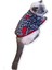 Leopar Hearts Kedi Süeteri Kedi Kıyafeti L 2