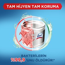 Lysol Çamaşır Makinesi Temizleyici 250 ml